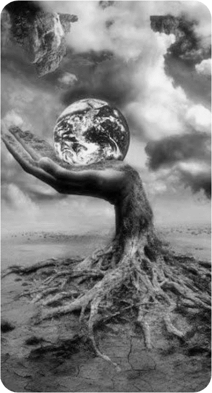 Sustainability
